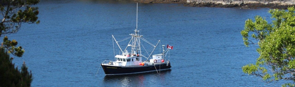 Coastal Messenger anchored at Friendly Cove.
