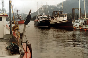 Coastal Messenger tied amongst fish boats.