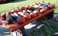 Produce from the Coastal Missions garden.